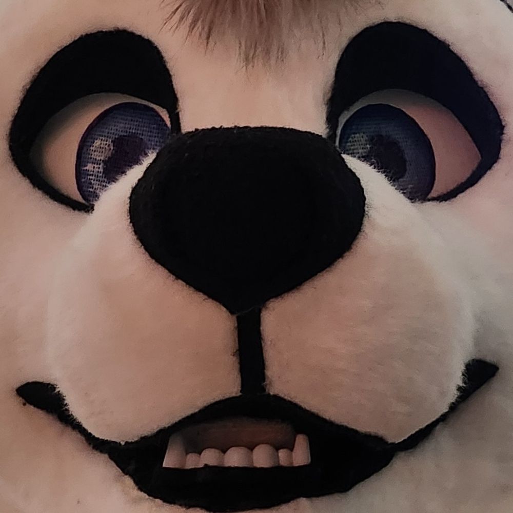 🌈 Lucky 🐺's Avatar