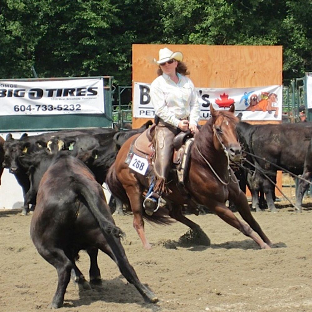Haidee and Horses