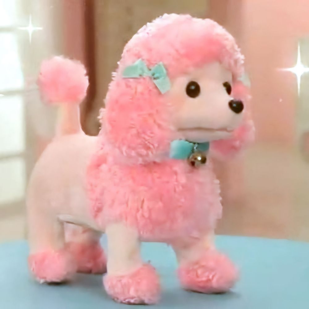 제이