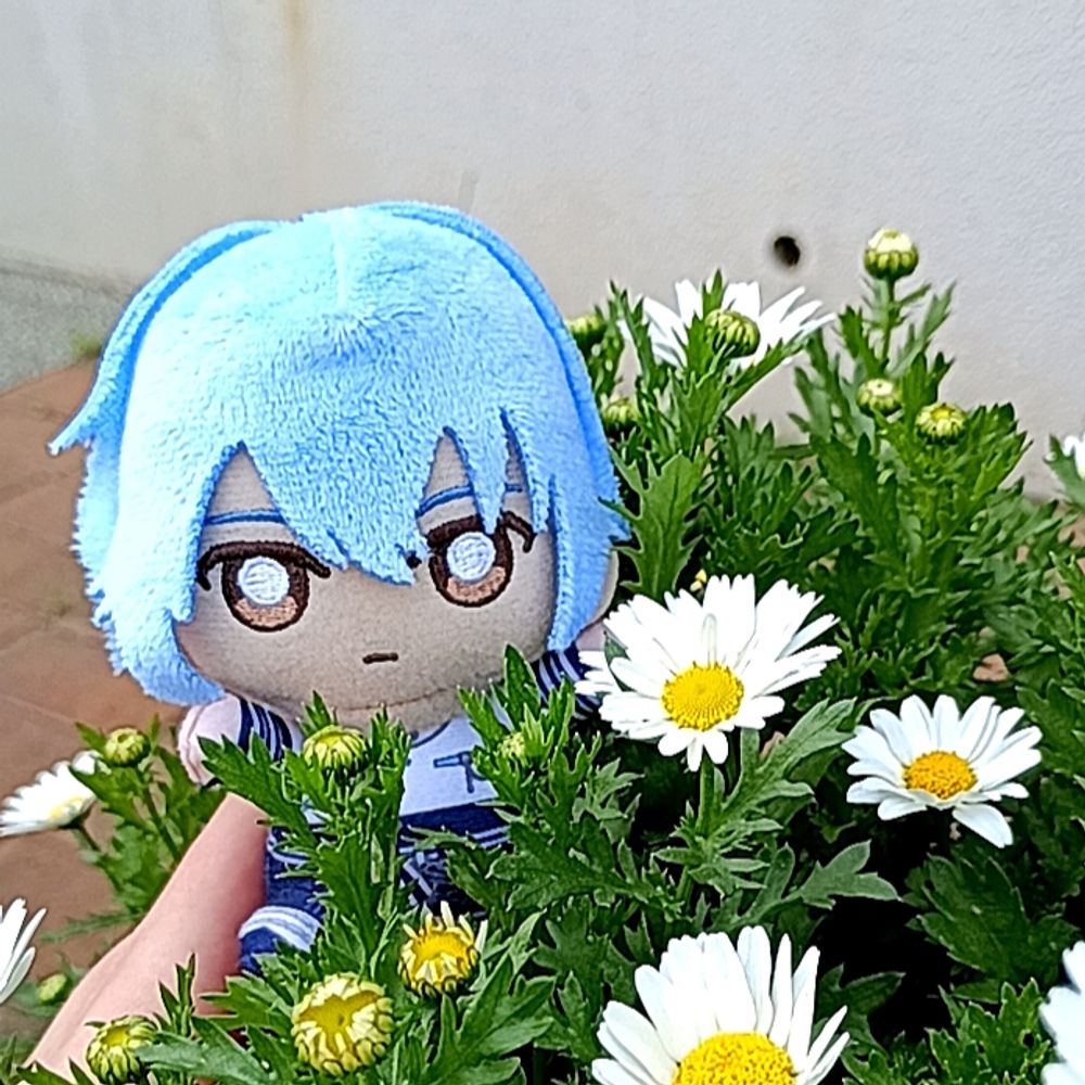 uta