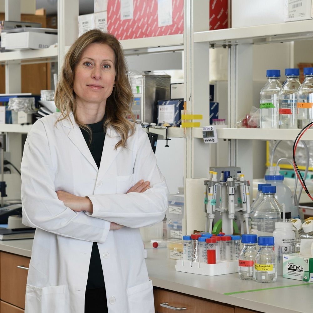 Kristy A. Brown, PhD