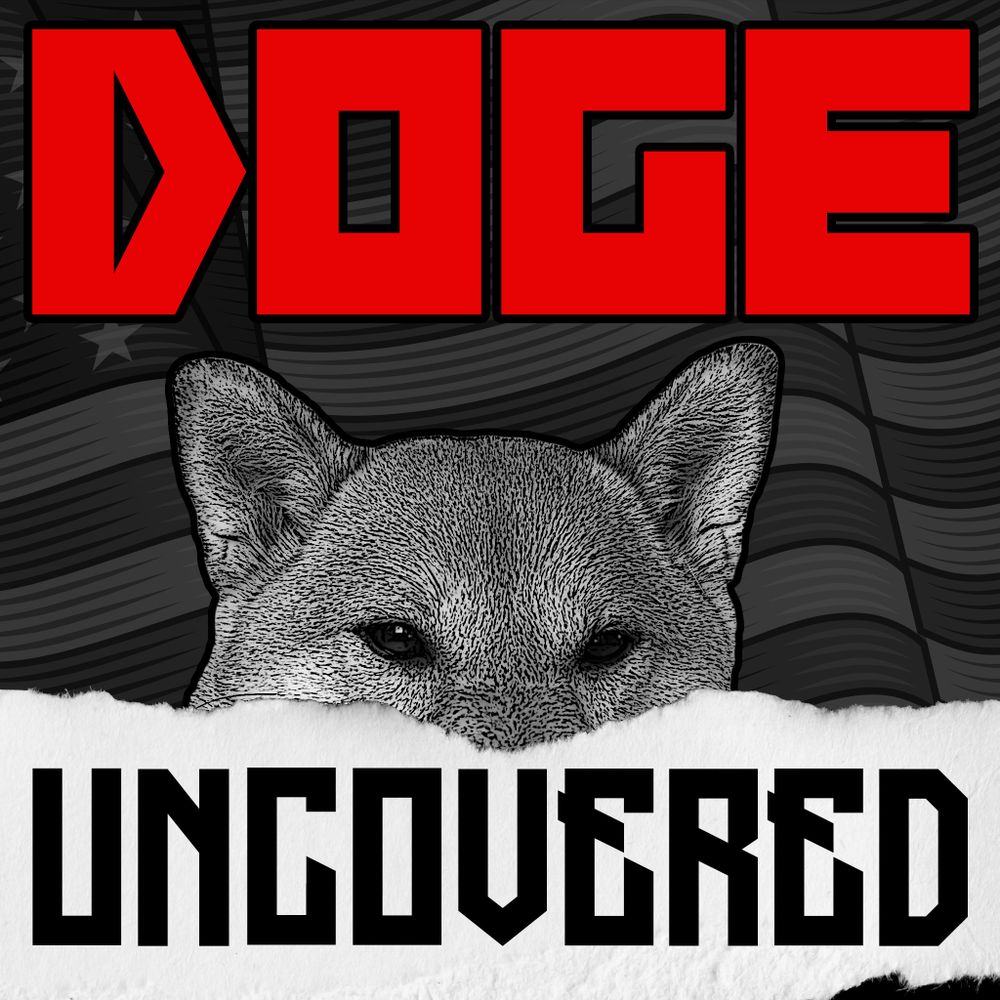 DOGE Uncovered