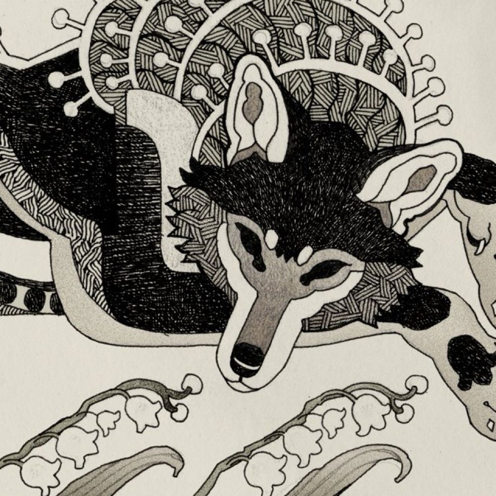 Coil 🐺🩸