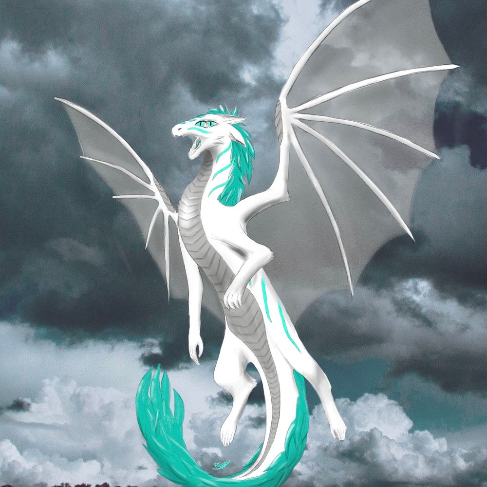 FantasyDragon14