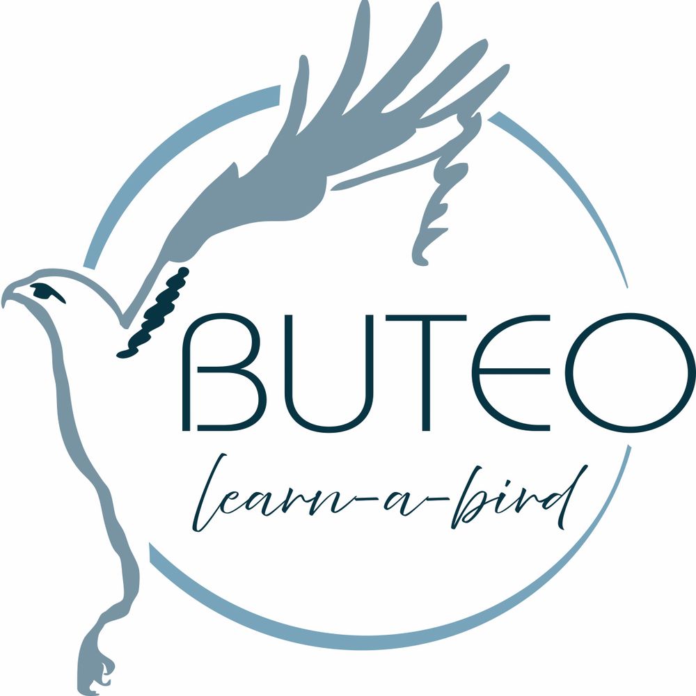 Buteo Learn a Bird