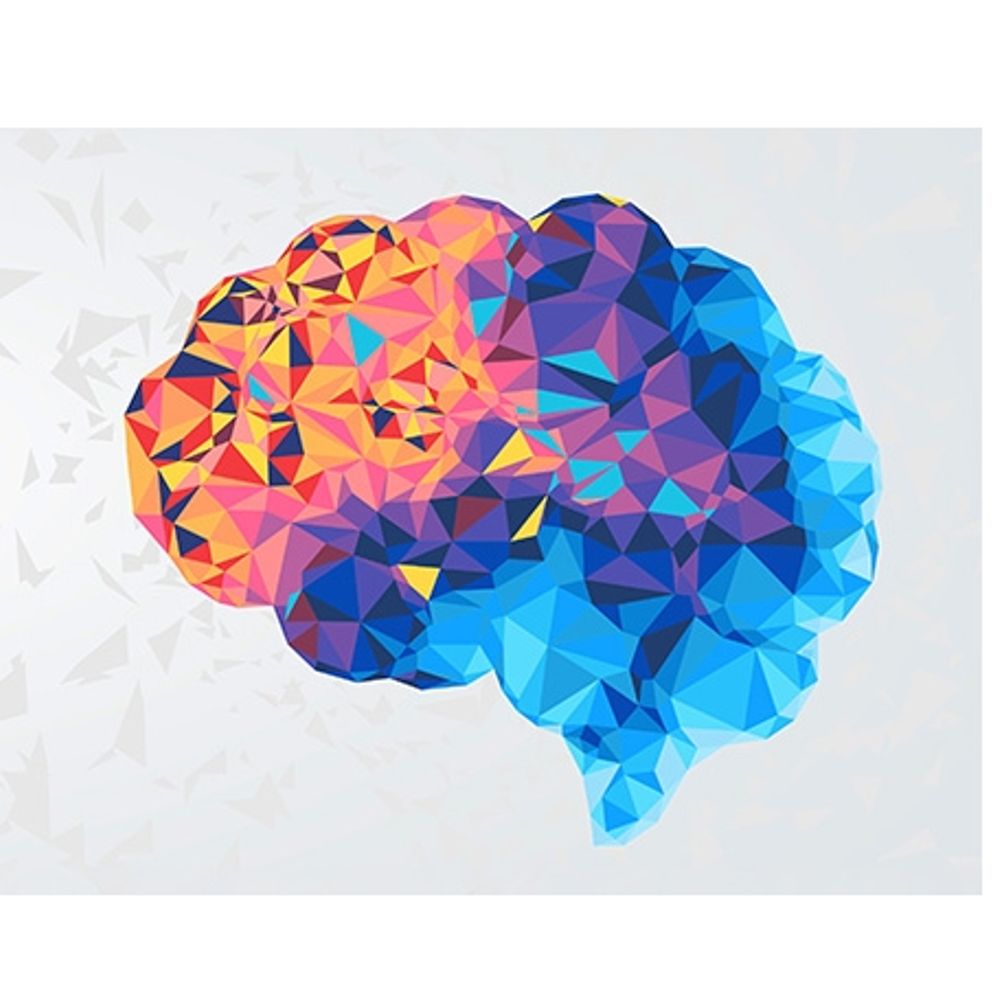   Developmental Affective, Motor, Memory, & Imaging (DAMMI) Lab