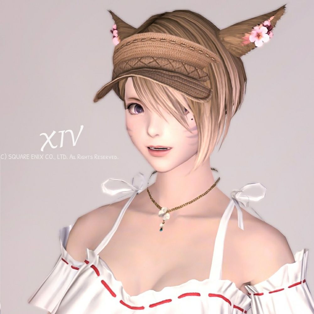 べる╰ᘏᗢ~˖ ࣪⊹