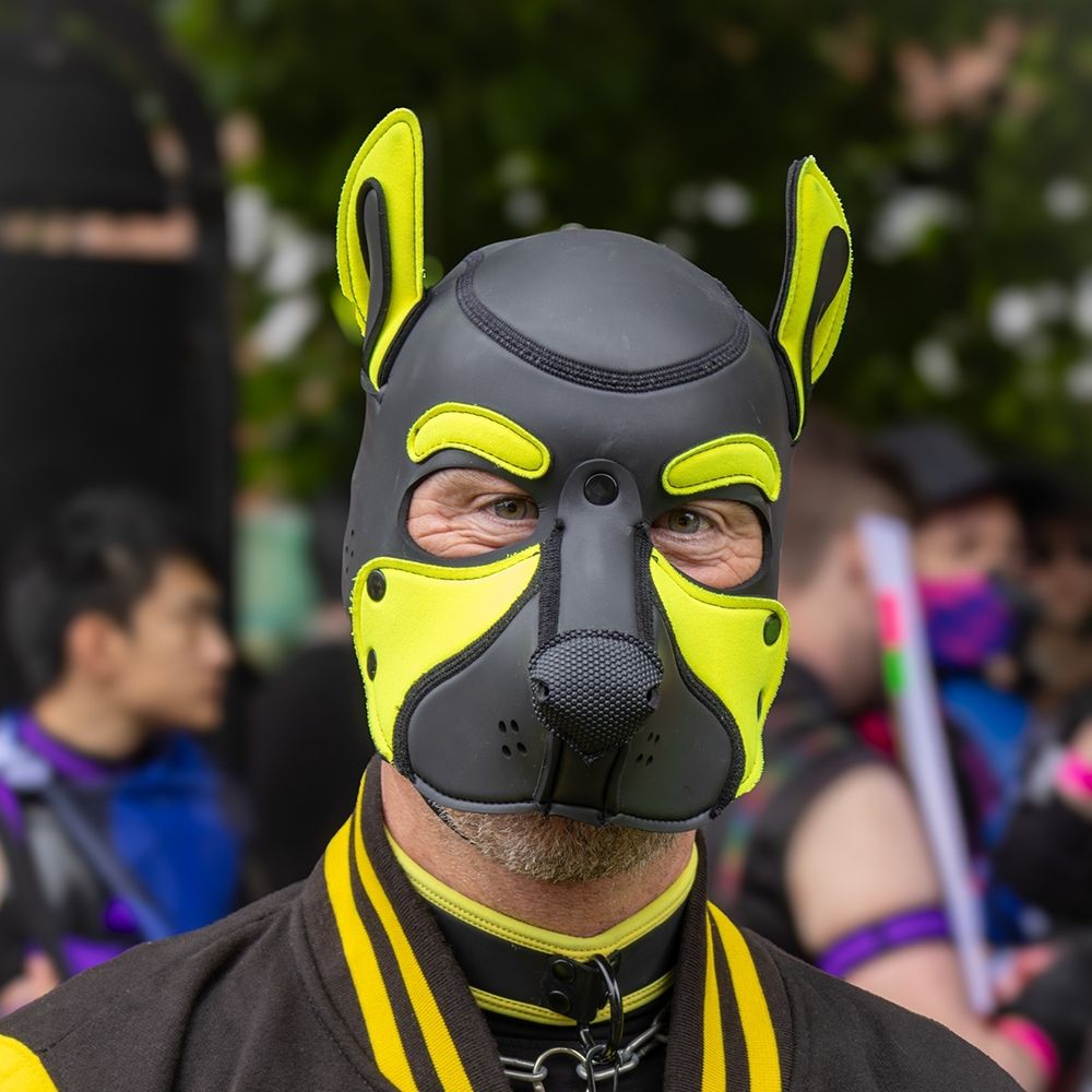 Pup-Pander➡️Kk-collard-kkafterdark-fetish pride masplomus