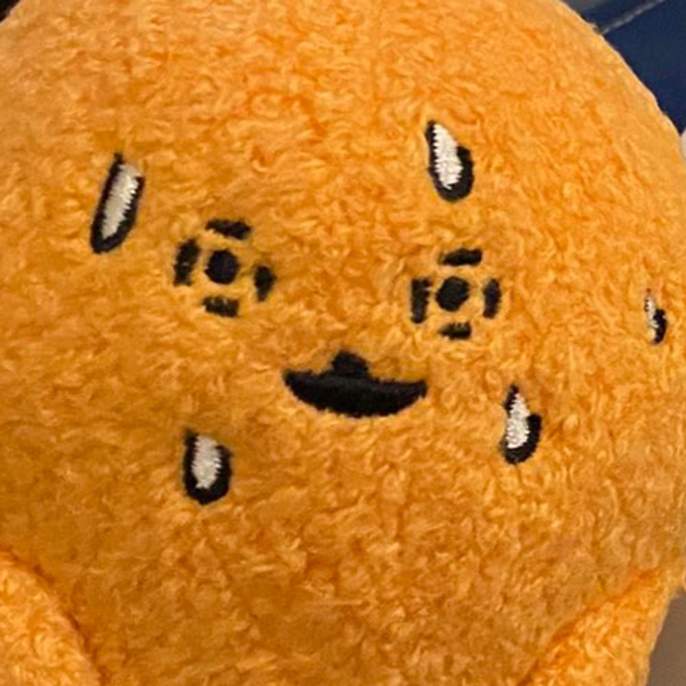 주년