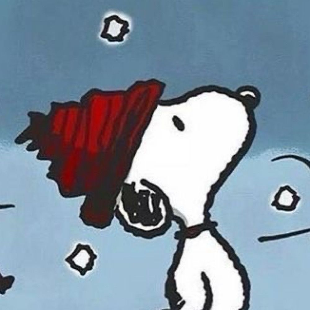 ૮꒰˵• ﻌ •˵꒱ა