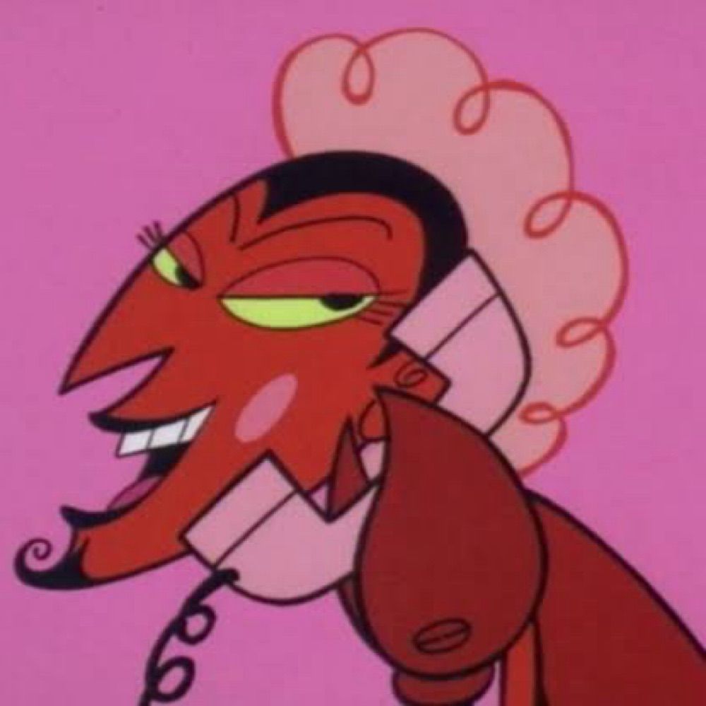 Cachorra 