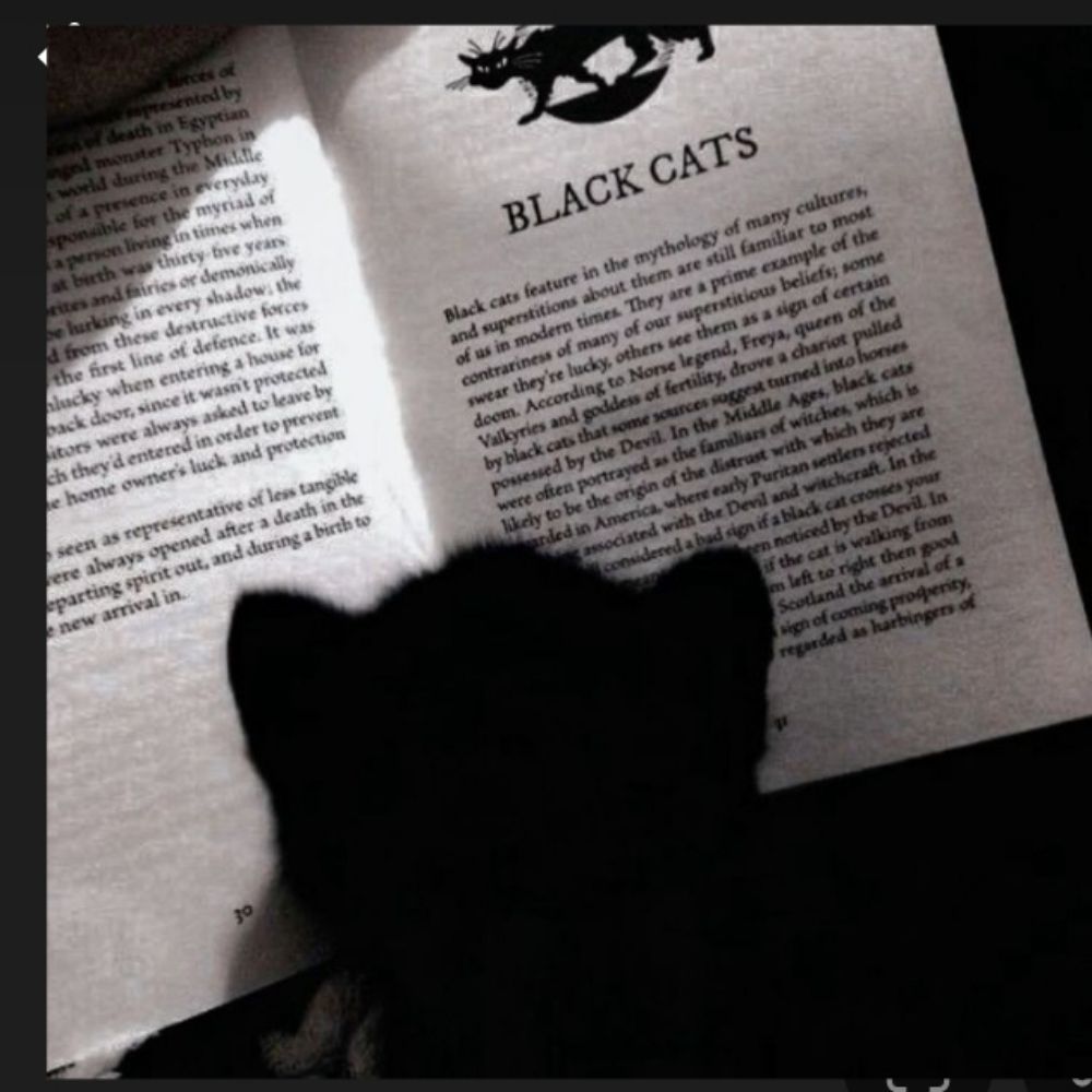 Blackcat