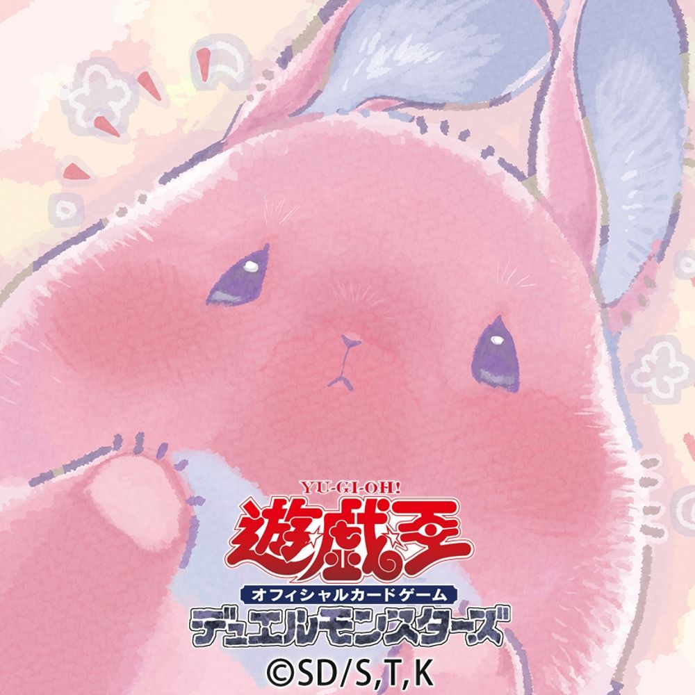 電脳決闘者 ドラヒロ