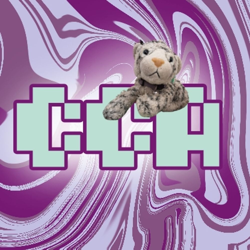 camcantanything