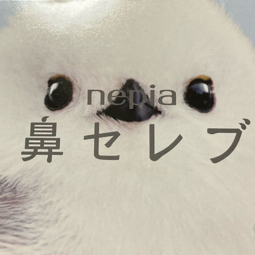 Srさん