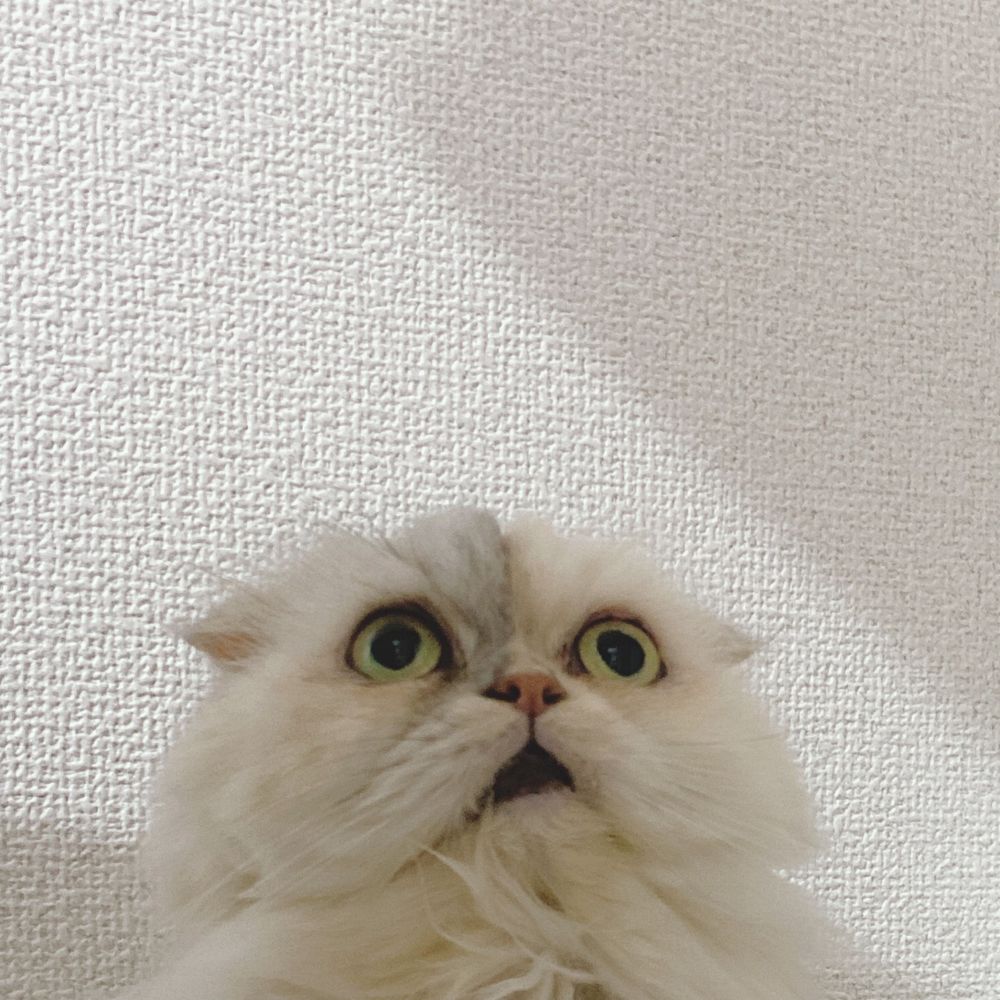 毛蟹愛好家