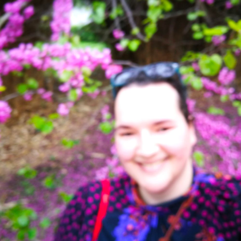 taroly.bsky.social profile picture