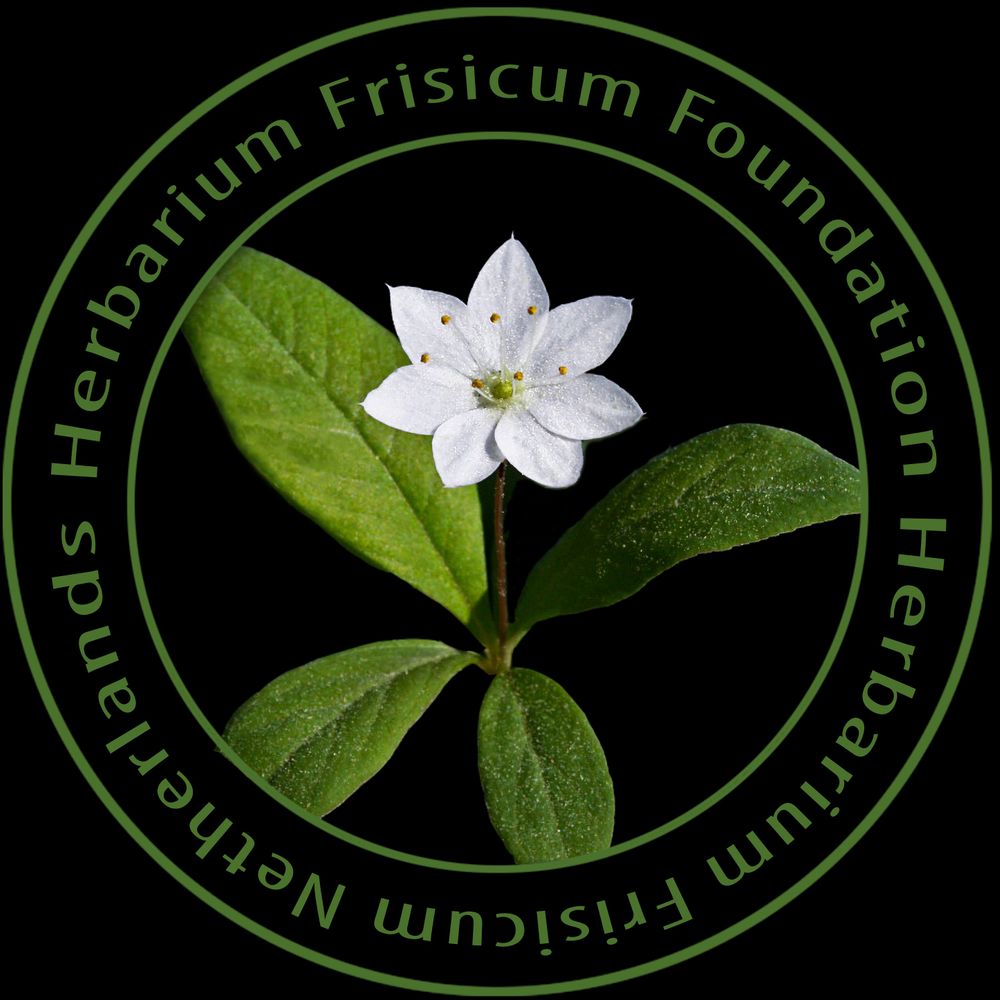 Stichting Herbarium Frisicum