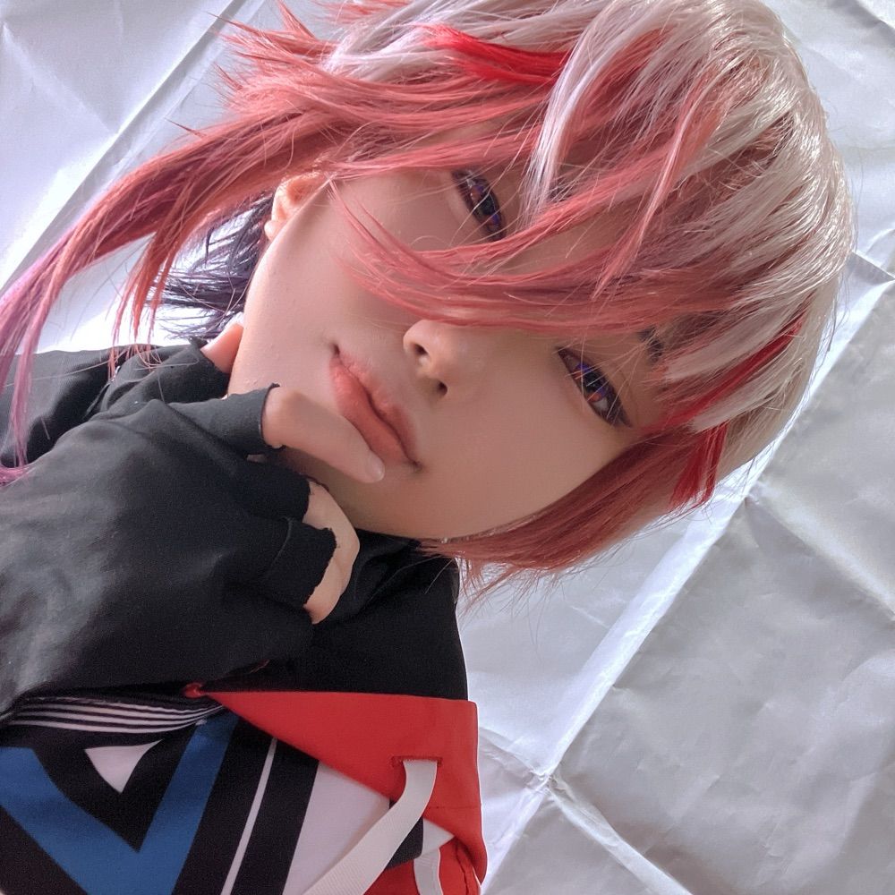 にぼし信者