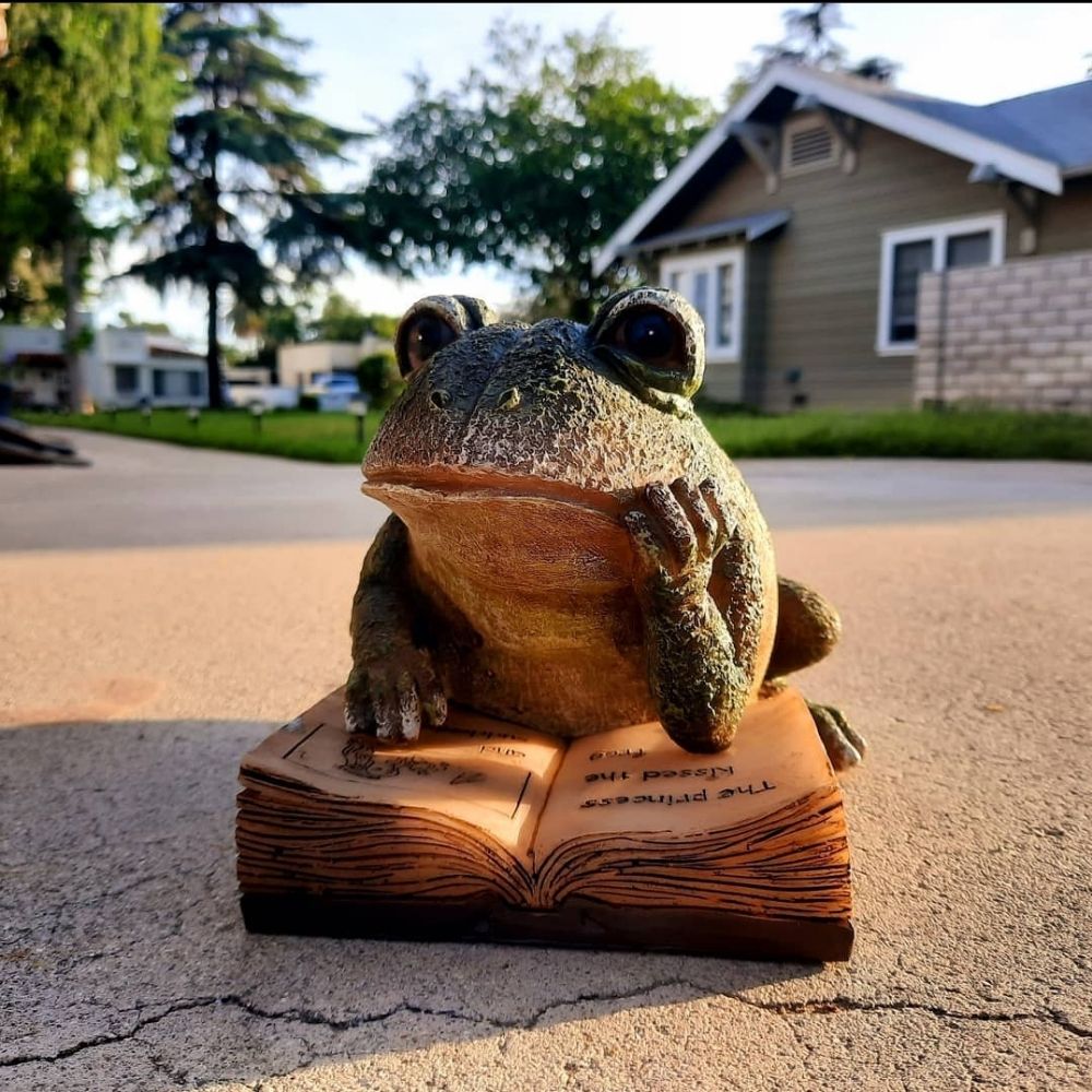 Little Free Library on H St
