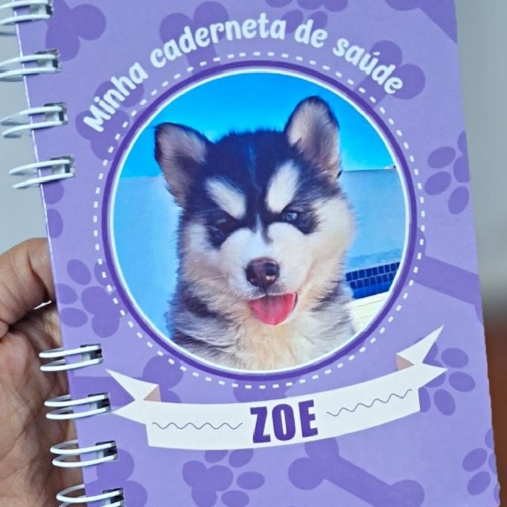 Documentos pet