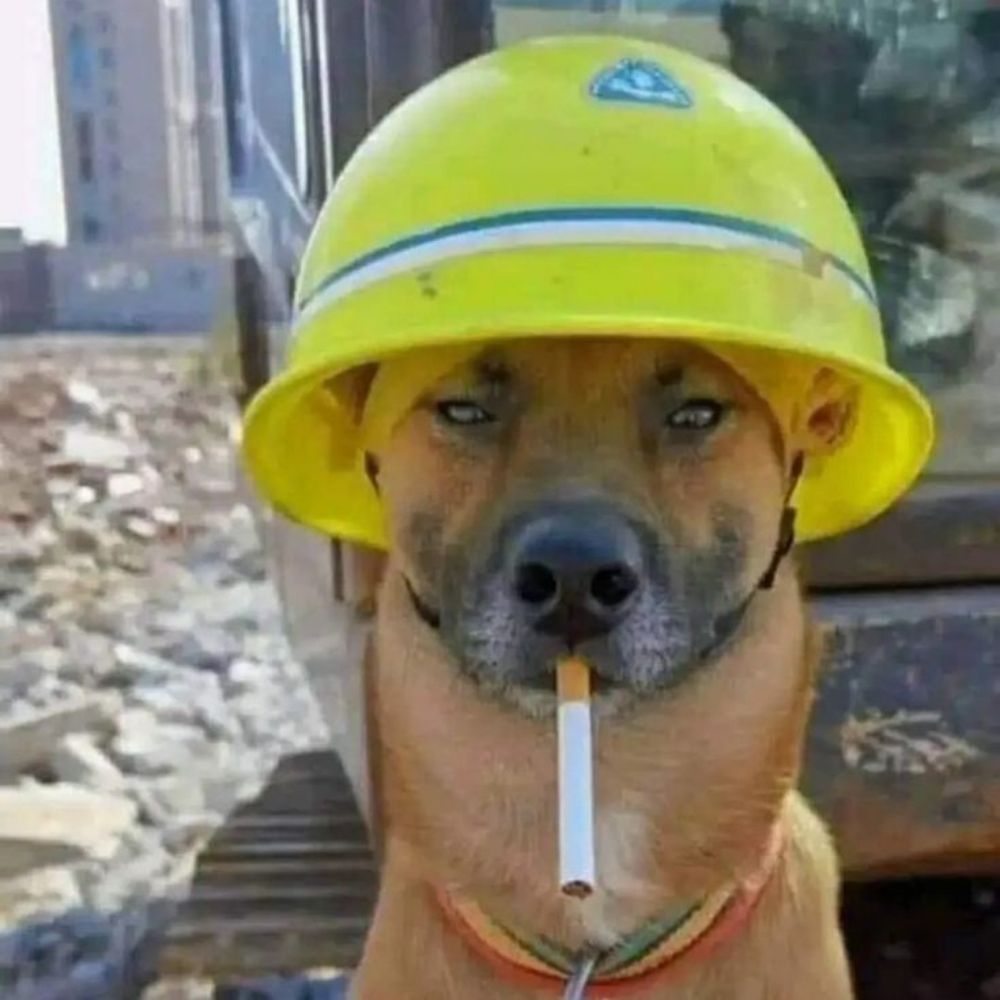 Stoned