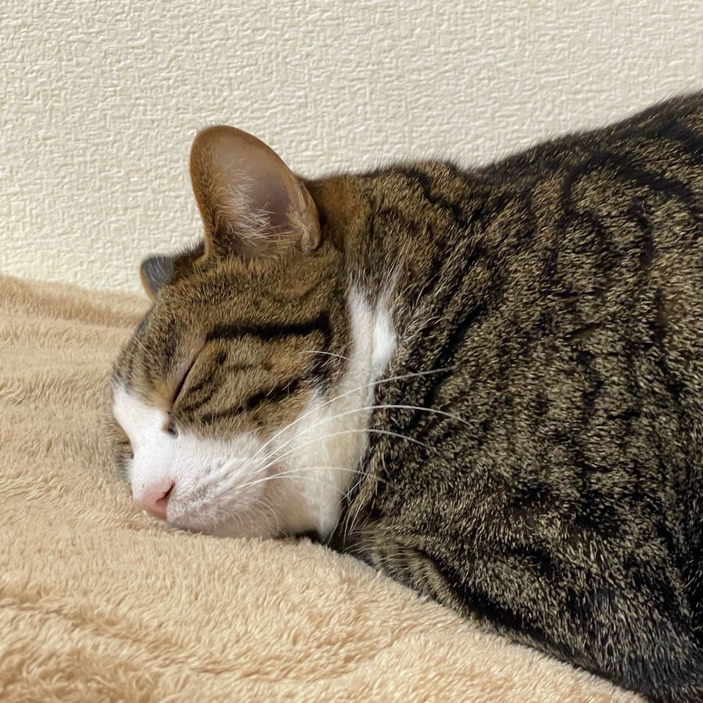 ゆう