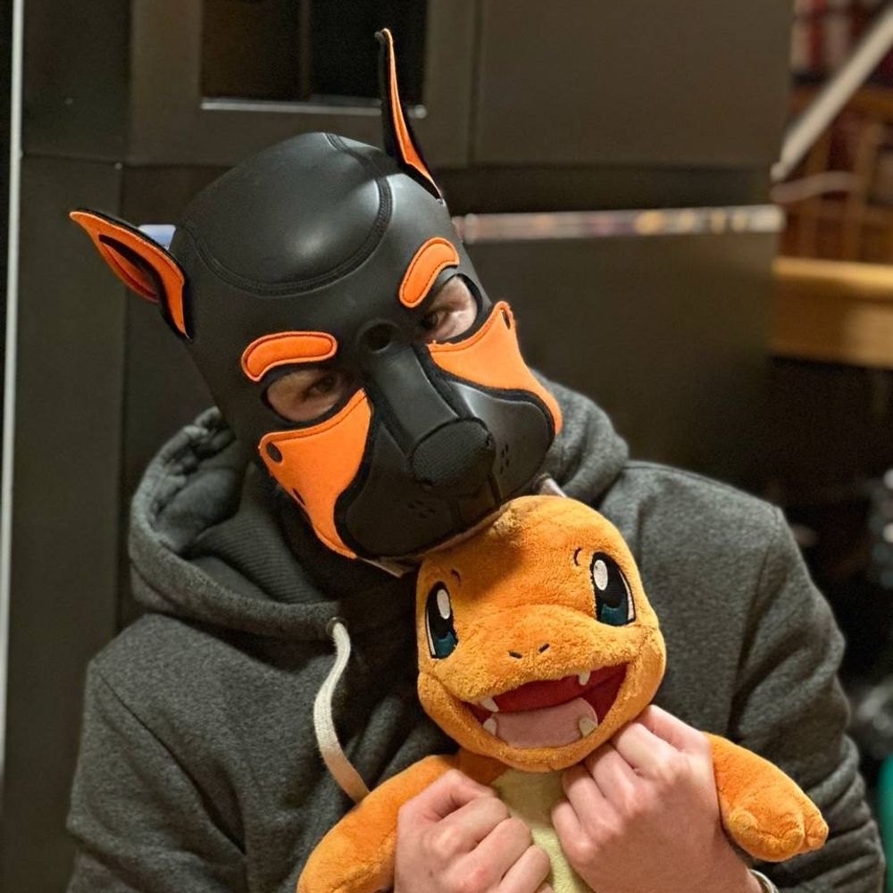 AshThePuppy 