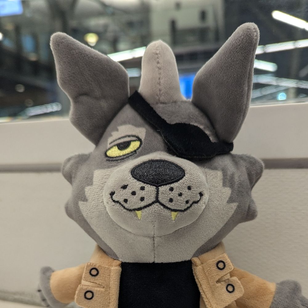 Wolf 🐾 ➡️ MFF