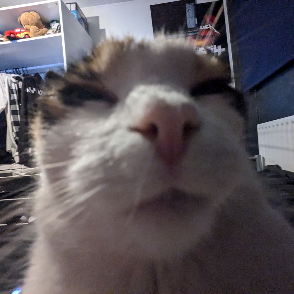 Skelliot