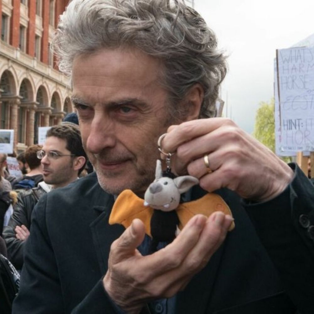 🐁enci🦊