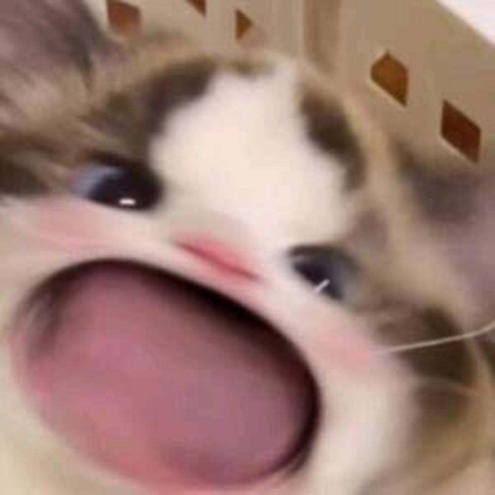 冷萃