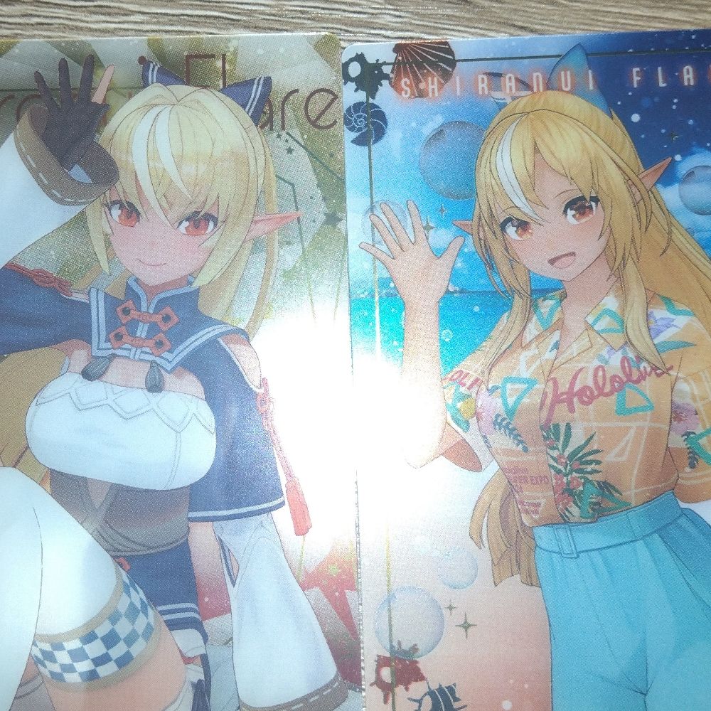 白猫光(ヒカリ)@エルフレンドの一員