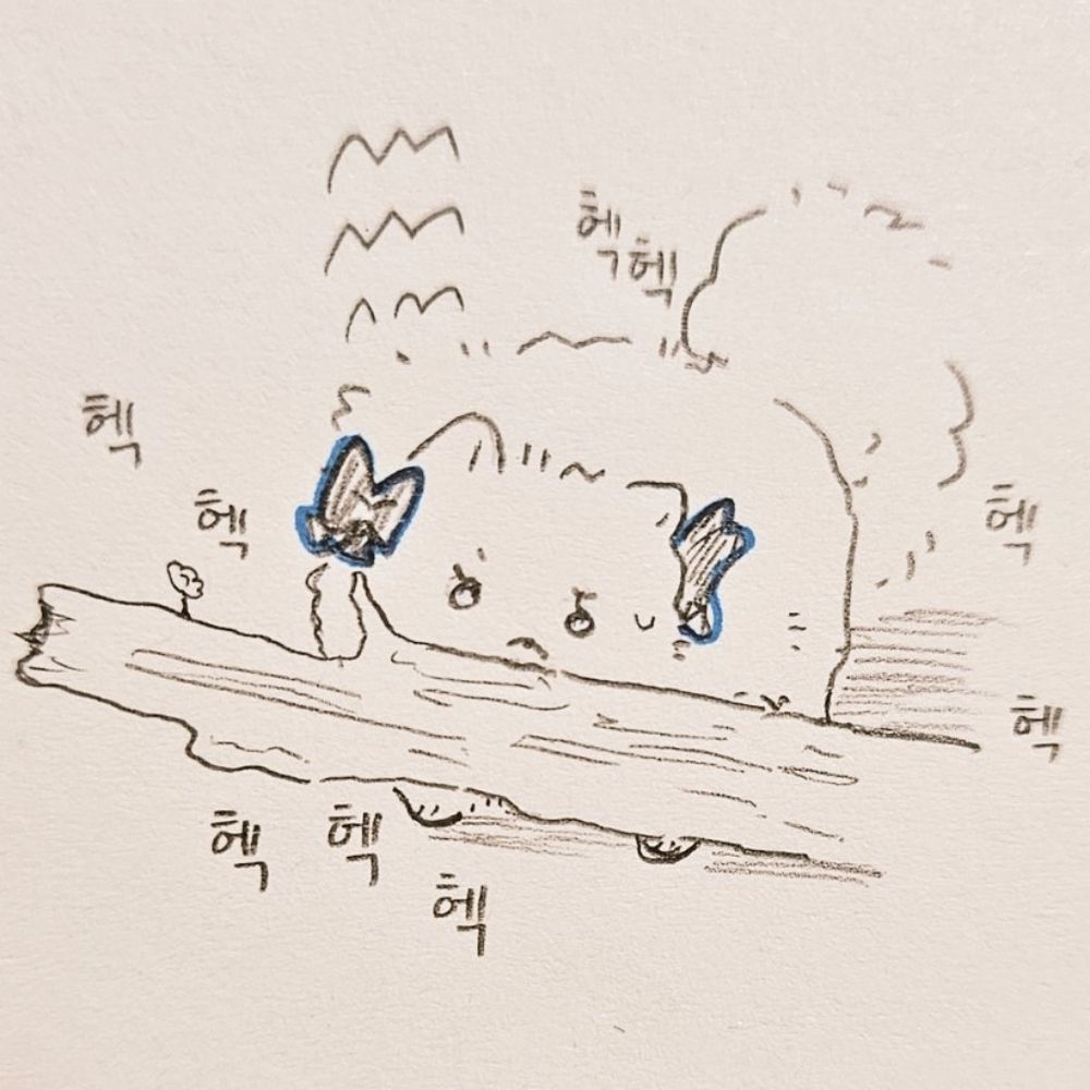 뮴먕