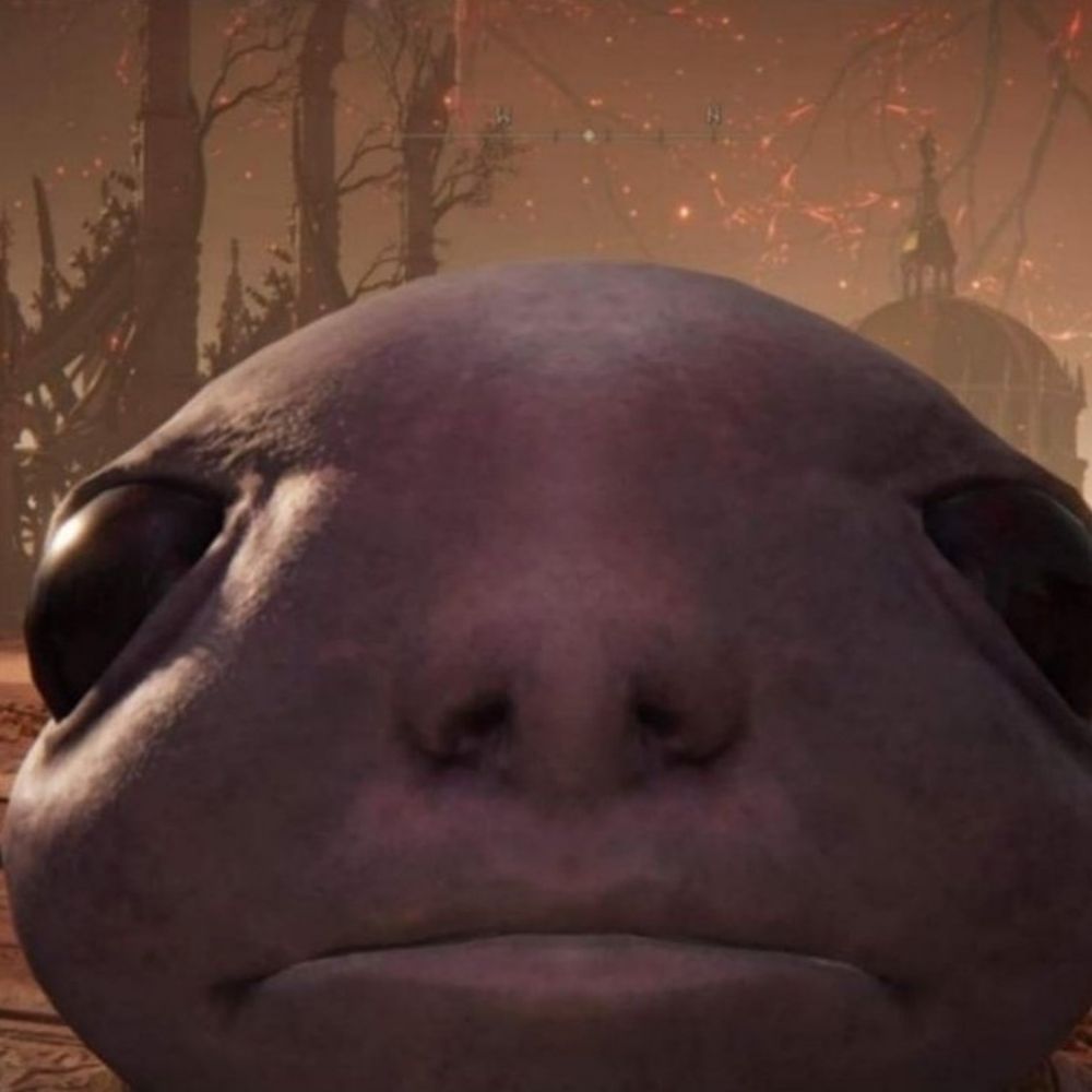 gu
