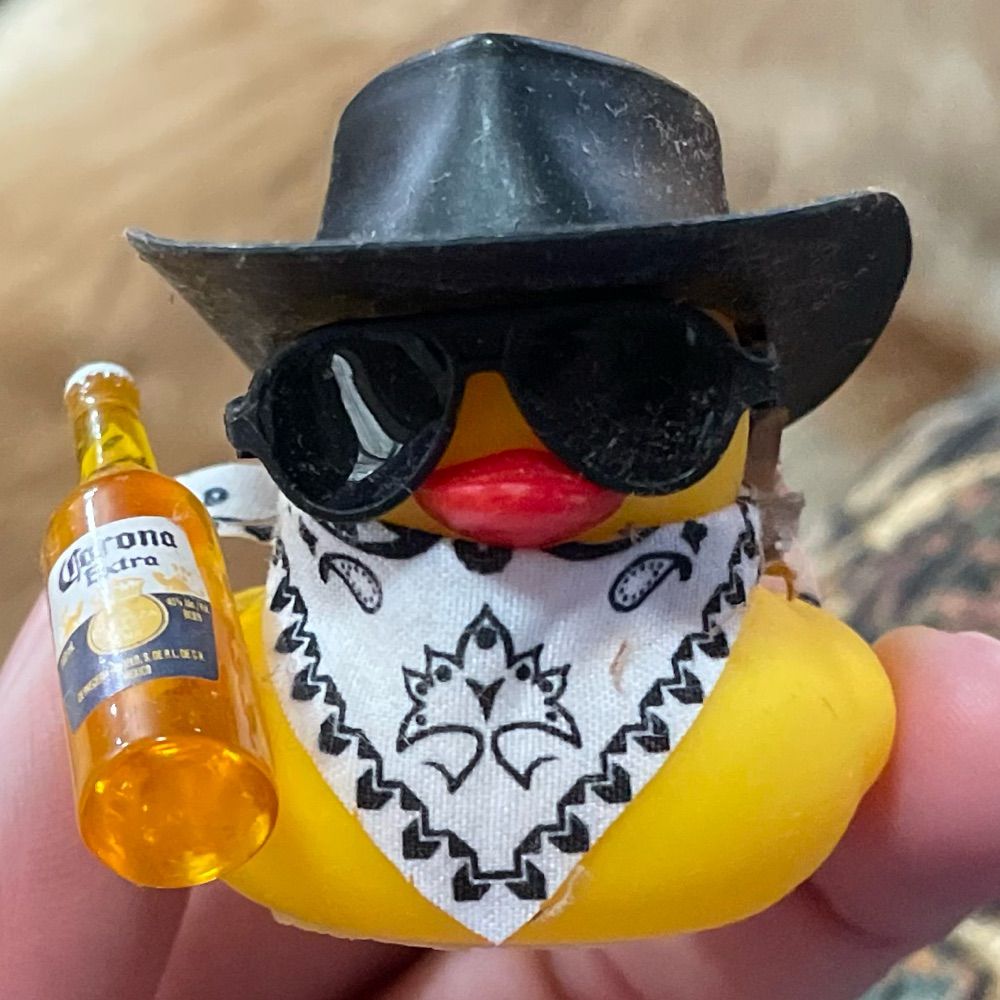 PartyDuck