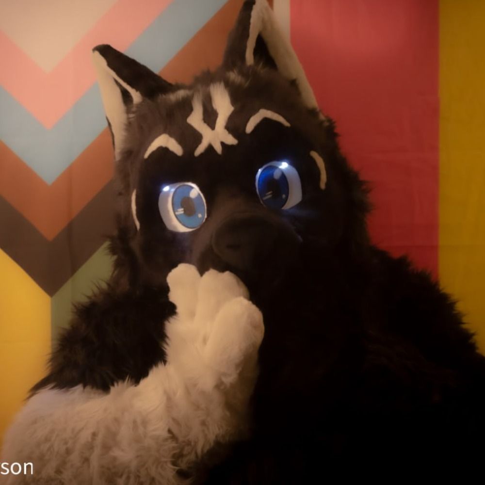 Suede the Taco Wolf