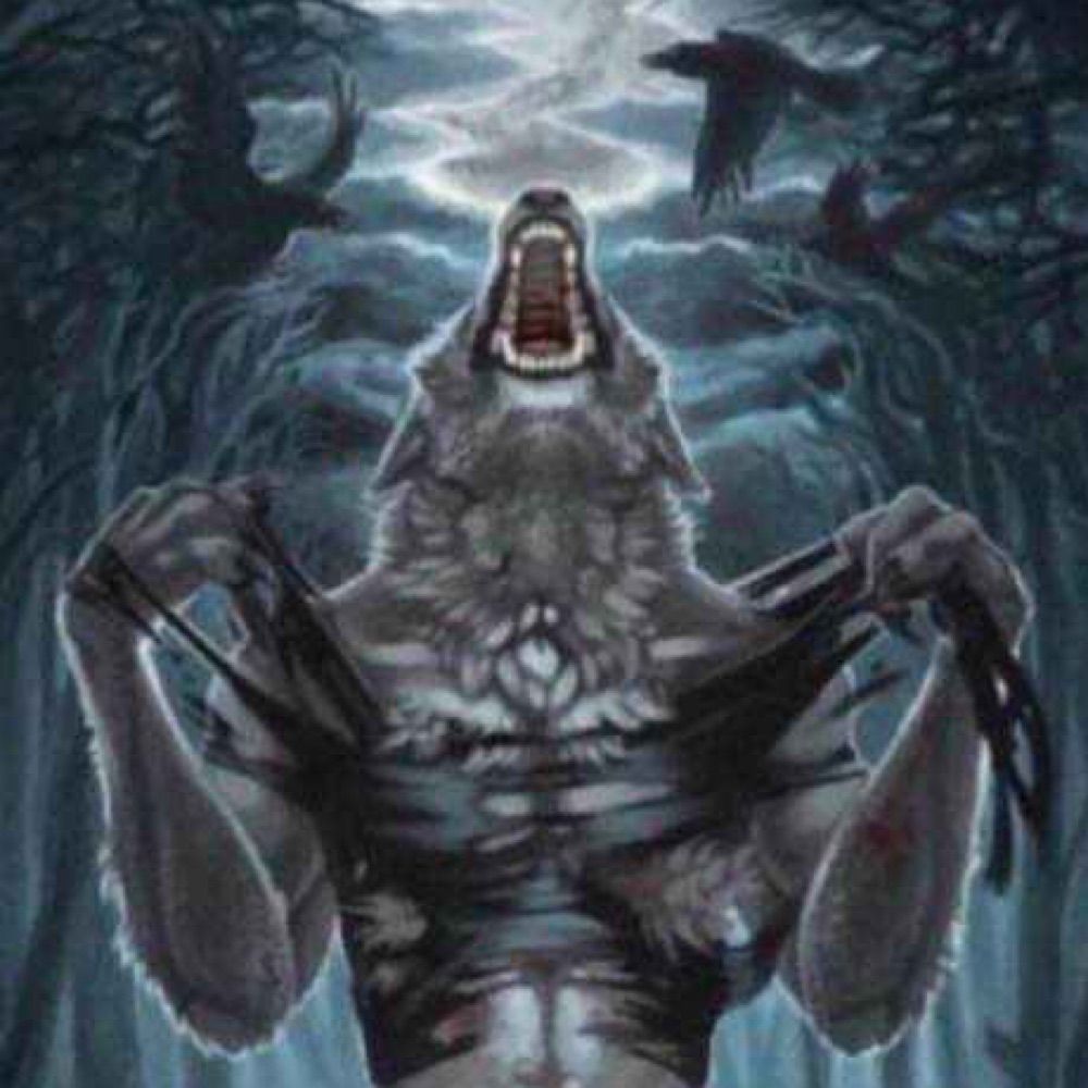 𝓀𝒾𝓉𝓉𝑒𝓃𝓈  🖤🥀🐺⛓💥