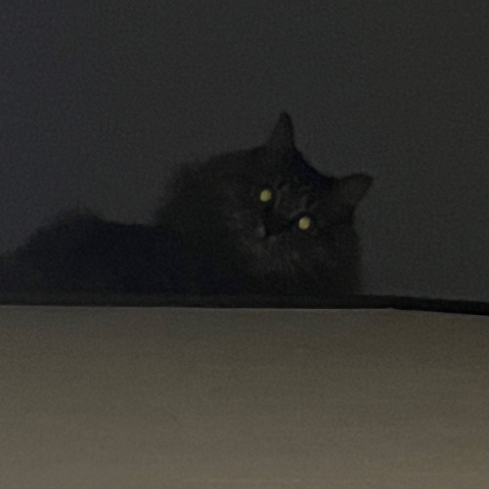 夕カハラ