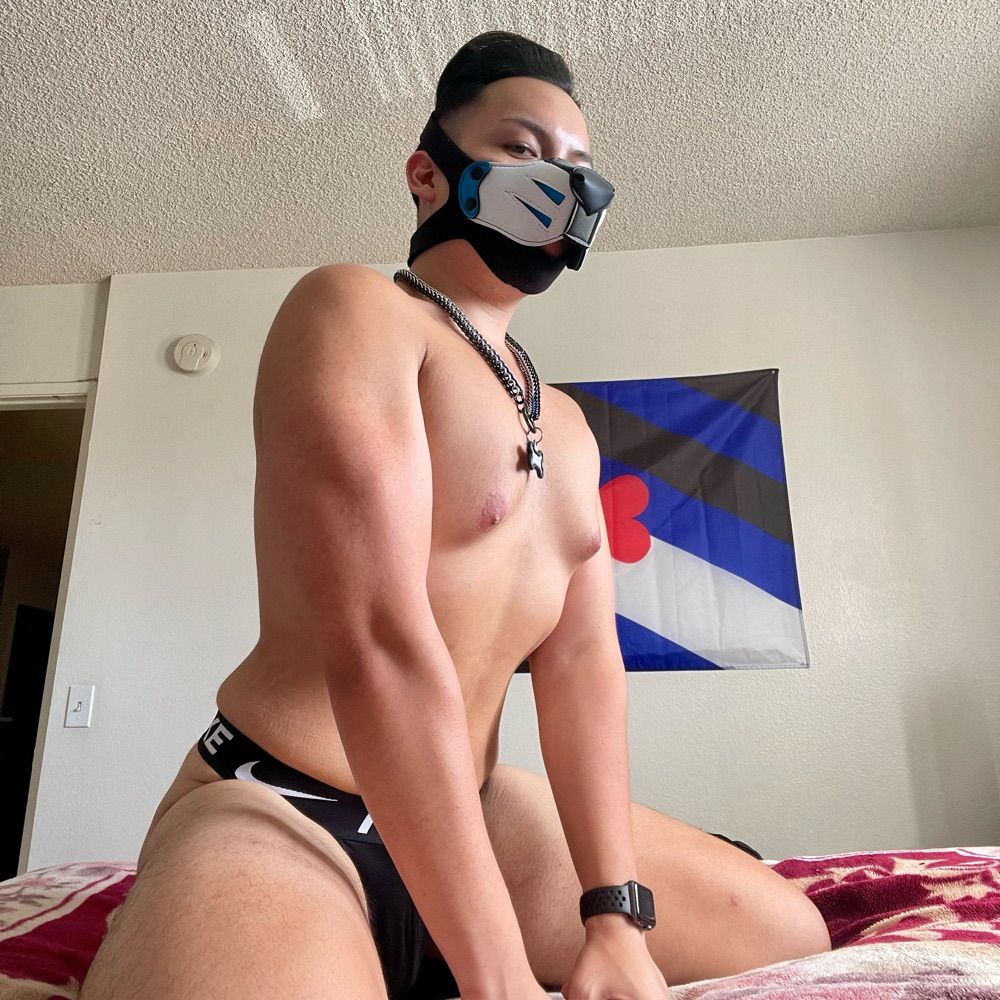 Pup Zephyr 🖤🔒