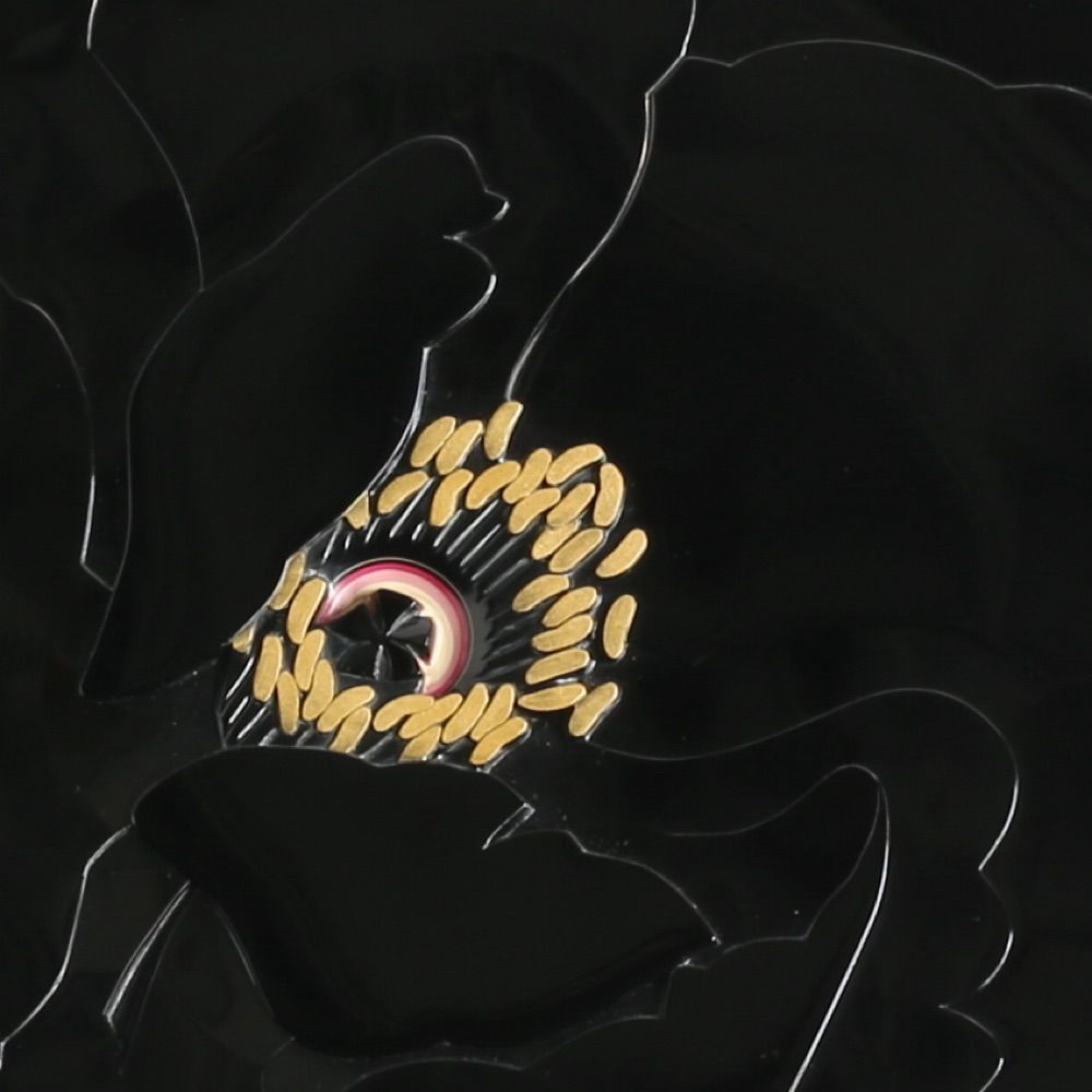 浅野絵莉