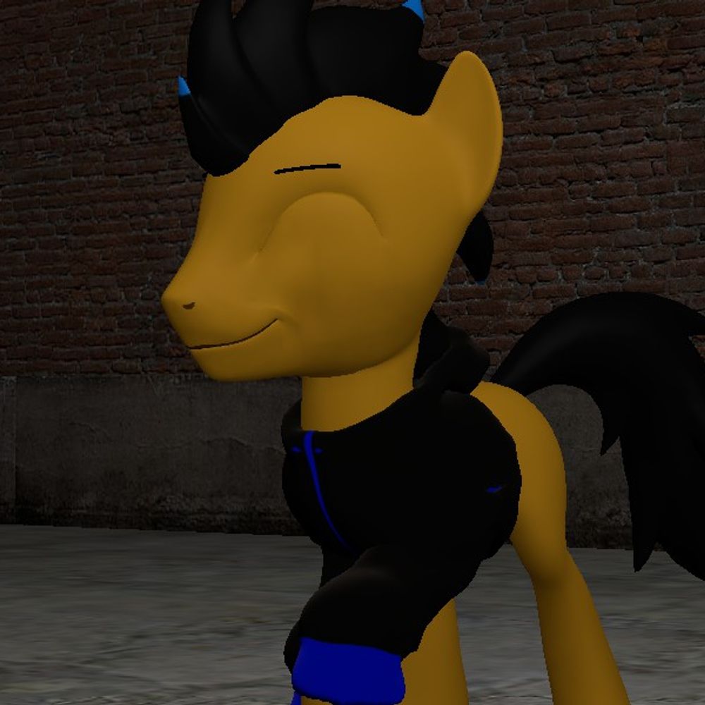 Mj's Film Co. Pony
