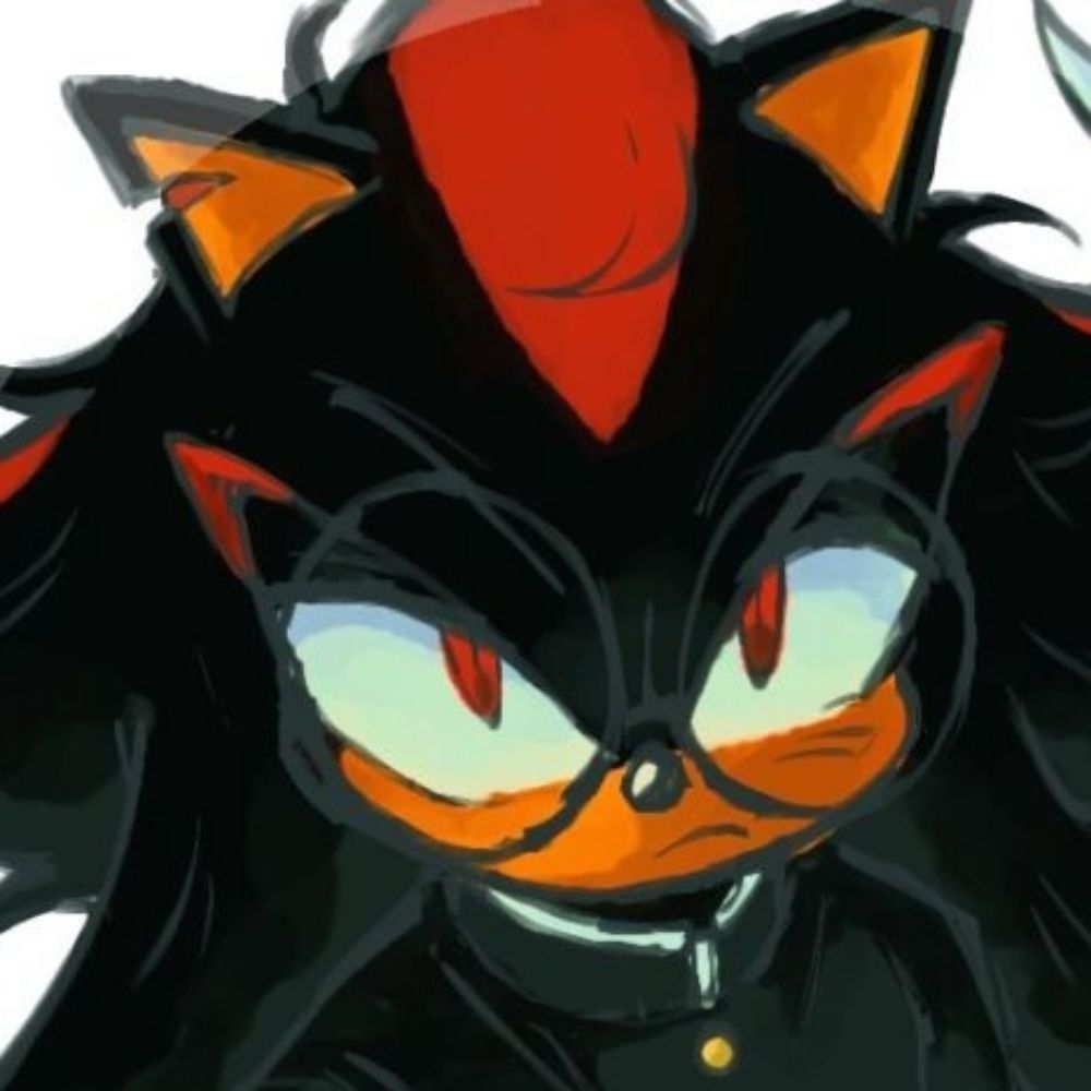 ⠀🦔⠀　⨟　⠀shads   .ᐟ　　ﾉ