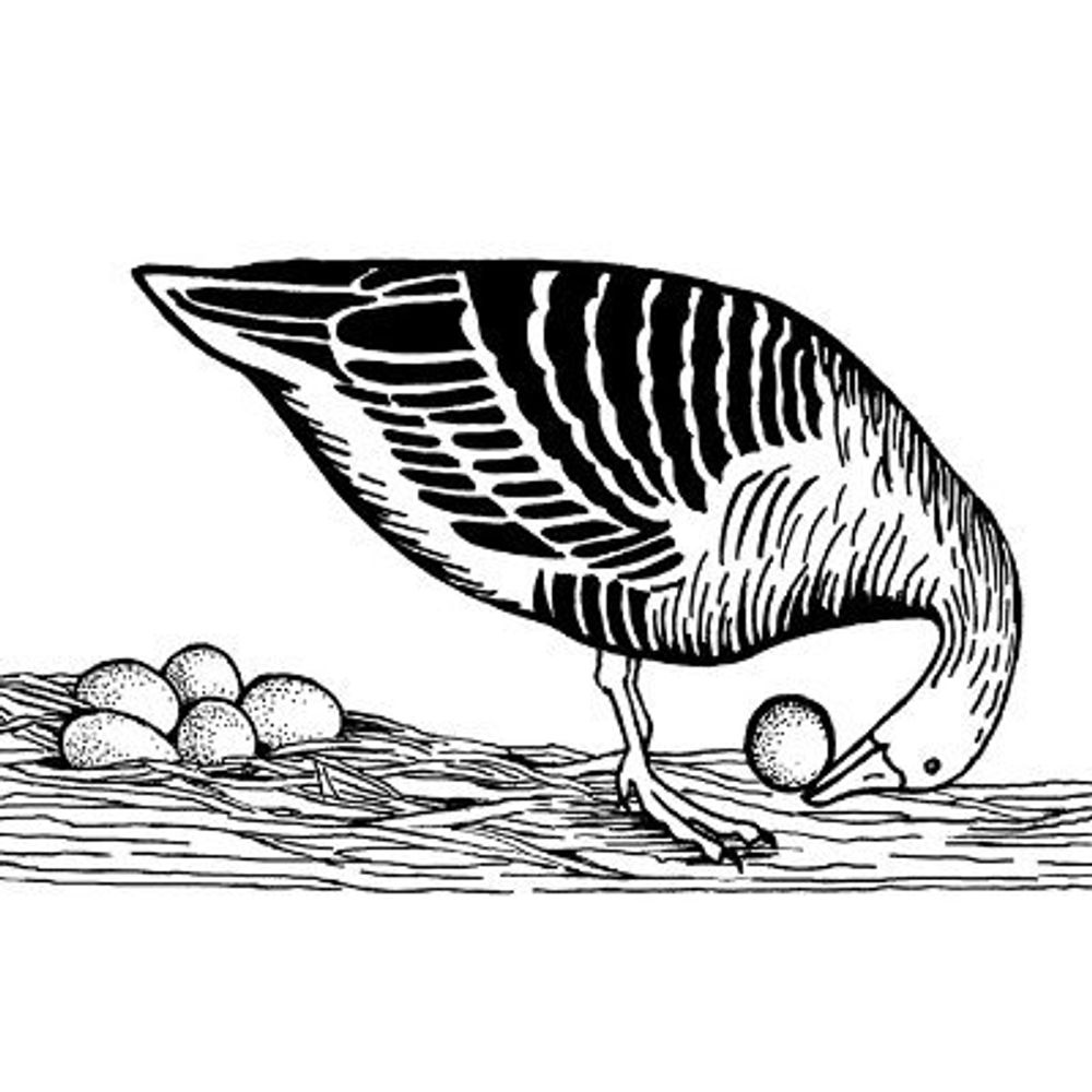 Ethological Society