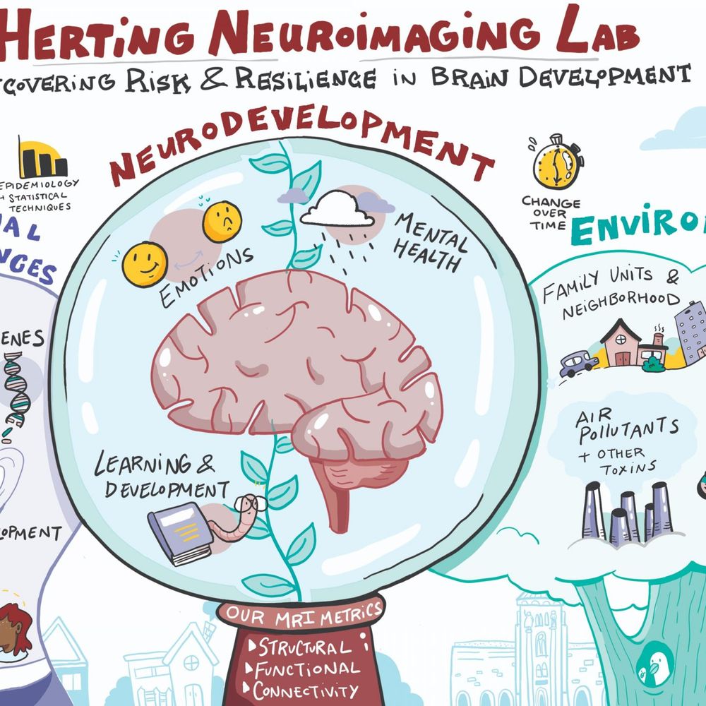USC Herting NeuroImaging Lab