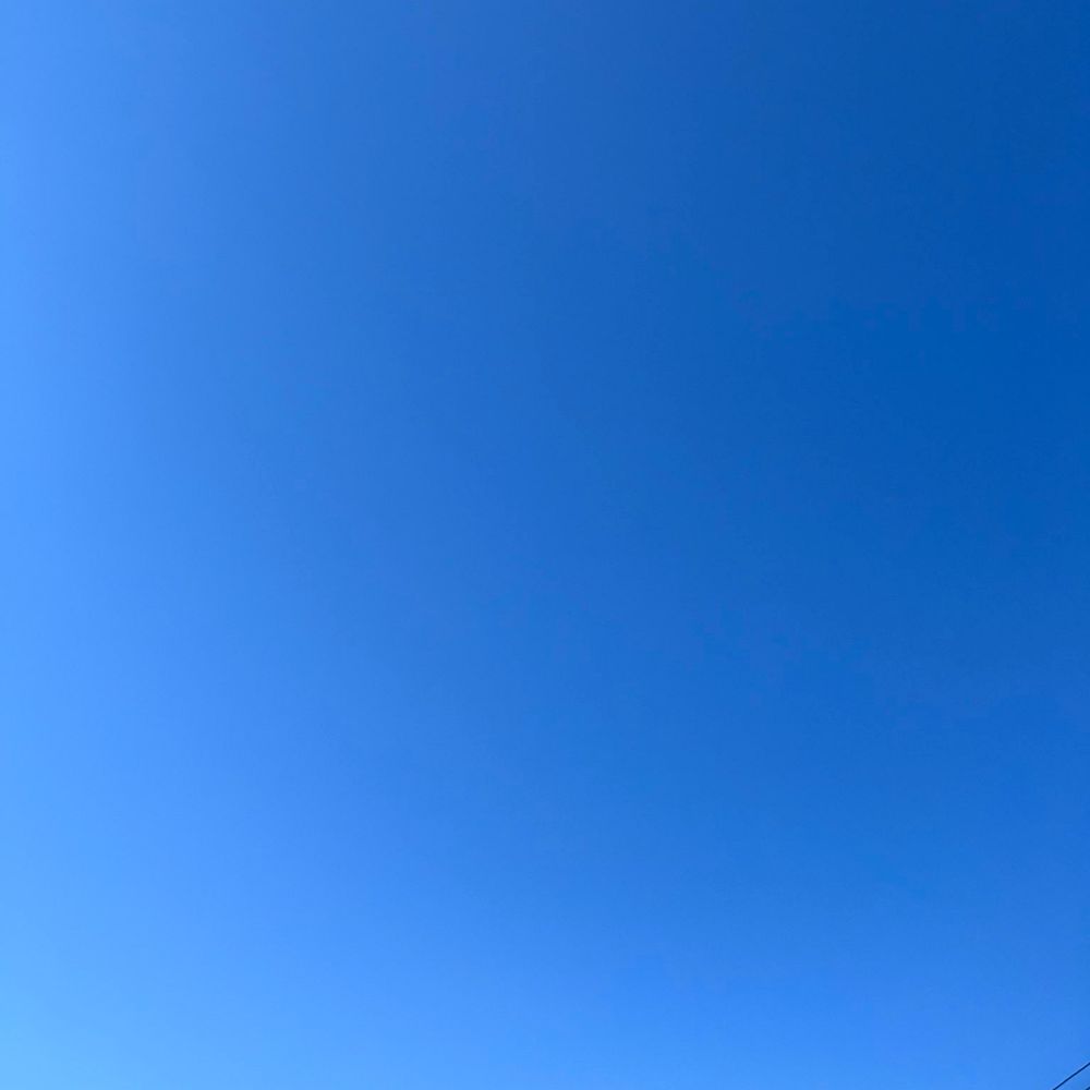 ほんだ