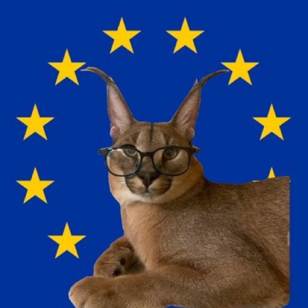 feelscuteman 🪩🇪🇺🇺🇦🍦