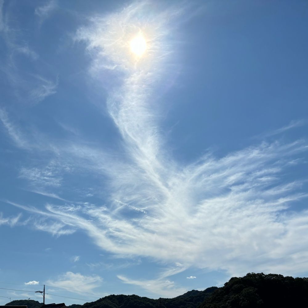 ばちさん