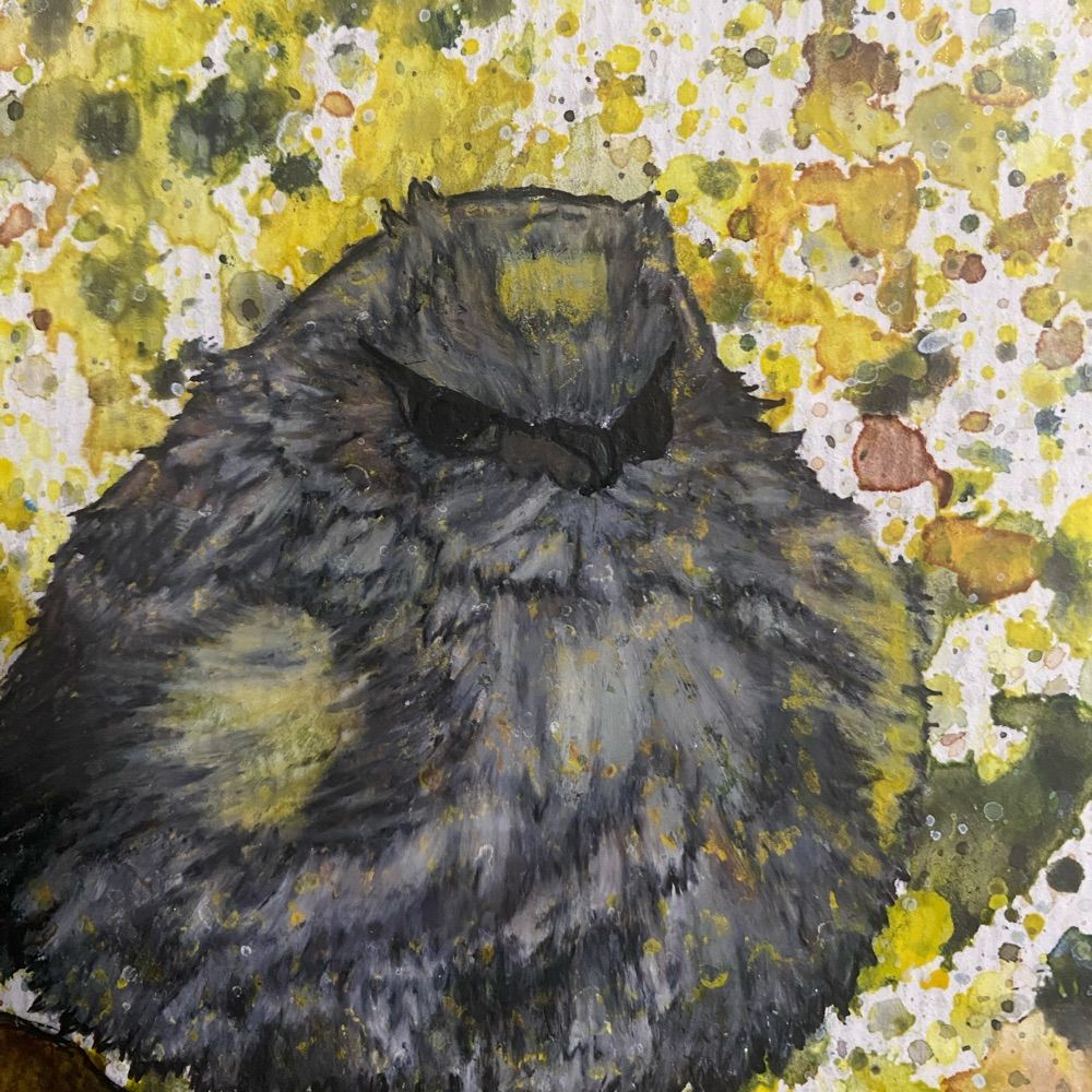 The Ornery Mushroom