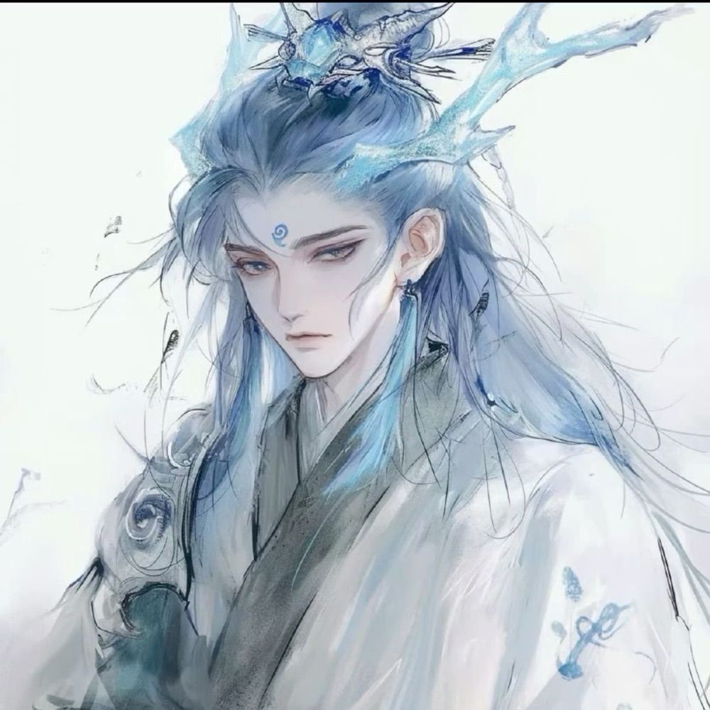 Áo bǐng